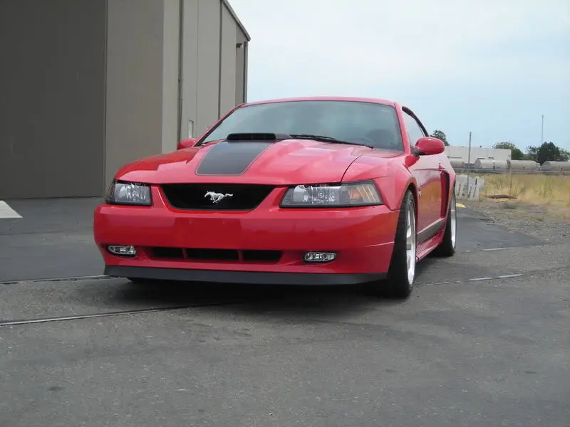 DSCN1819.webp