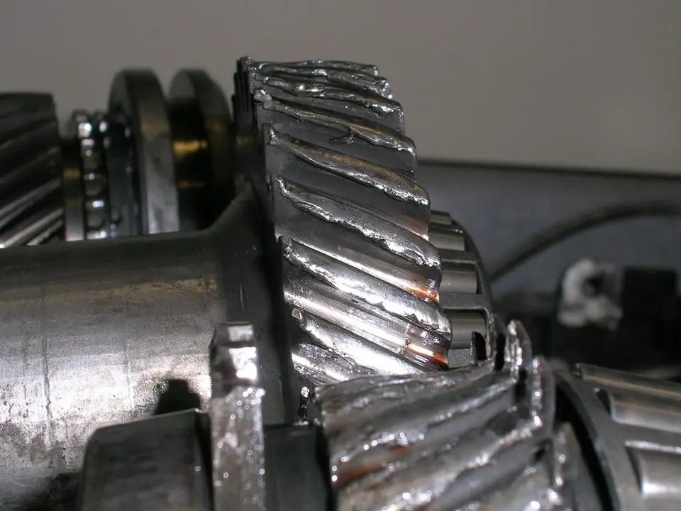 DSCN1819.webp