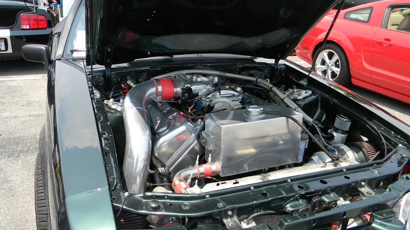 DSCN1838.webp