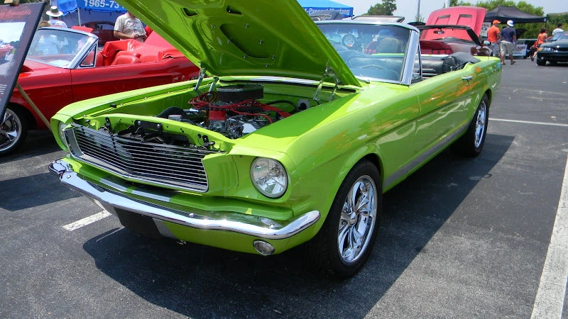 DSCN1842.webp