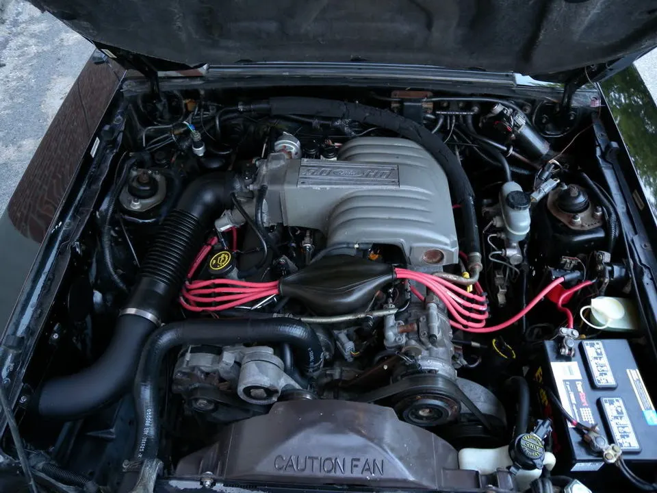 DSCN1849.webp