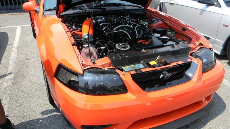 DSCN1866.webp