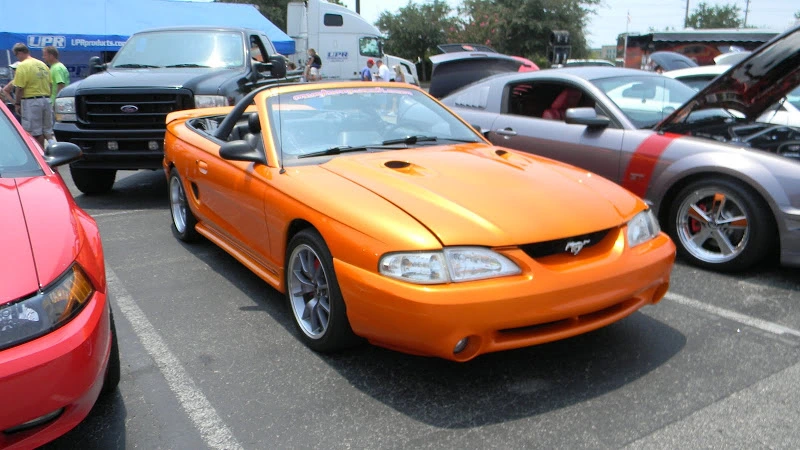 DSCN1880.webp