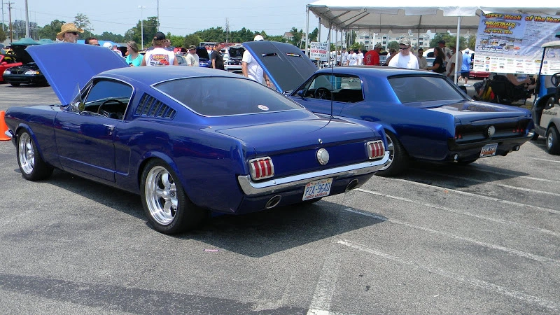 DSCN1885.webp