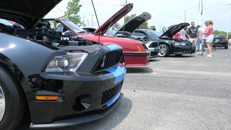 DSCN1898.webp