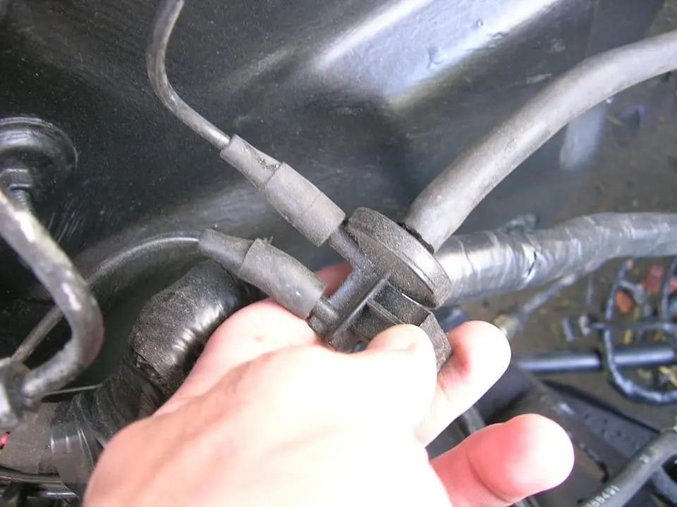 DSCN1910.webp