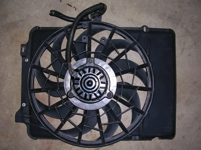 DSCN1925.webp