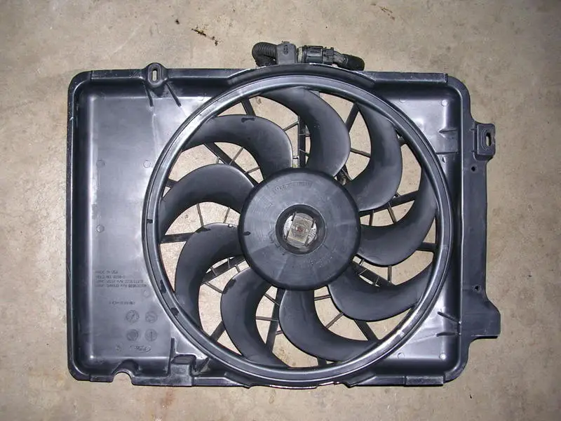 DSCN1929.webp