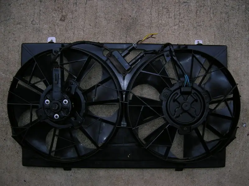 DSCN1968.webp