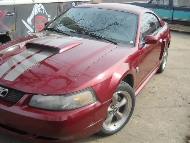 DSCN1972.webp