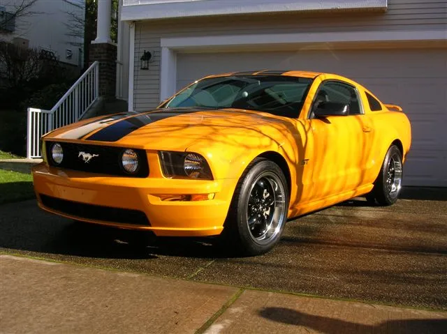 DSCN1972.webp