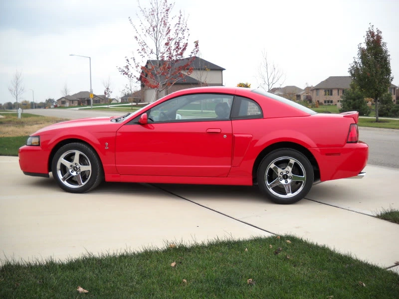 DSCN1974.webp