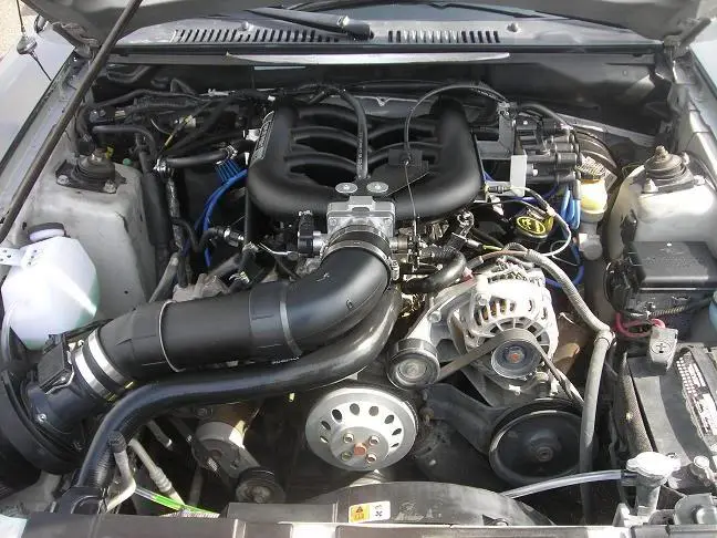 DSCN1986.webp