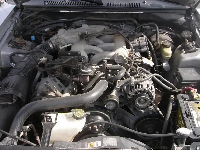 DSCN1987.webp