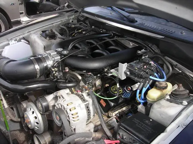 DSCN1990.webp