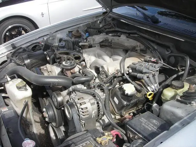 DSCN1991.webp