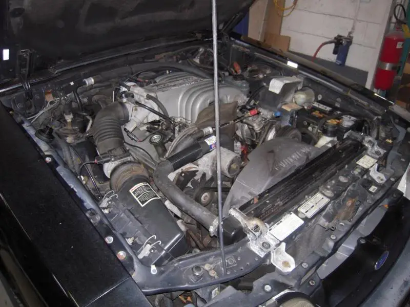 DSCN1994.webp