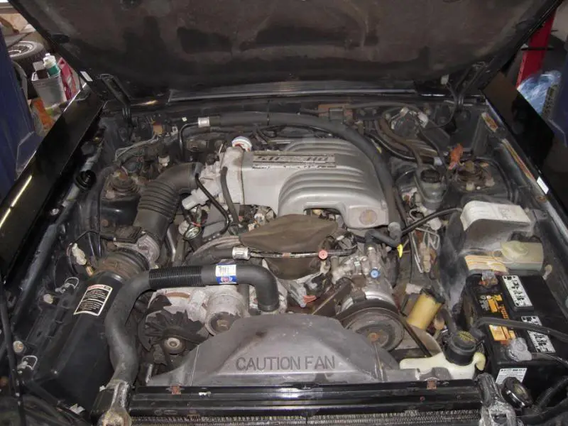 DSCN1995.webp