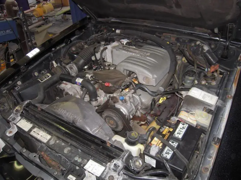 DSCN1996.webp