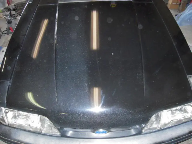 DSCN2000.webp