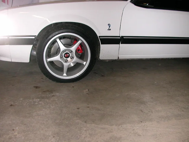 DSCN2021.webp