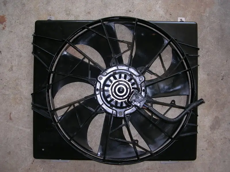 DSCN2042.webp