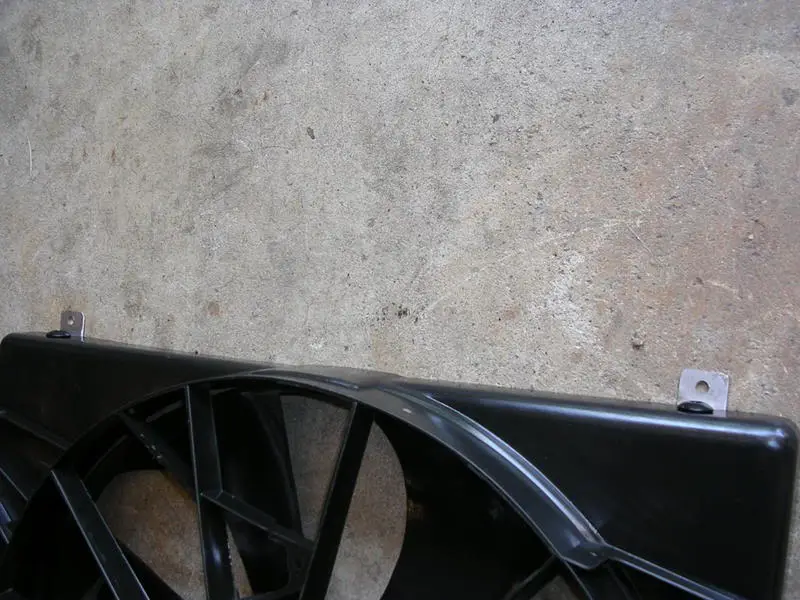 DSCN2043.webp