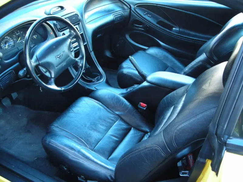 DSCN2061.webp