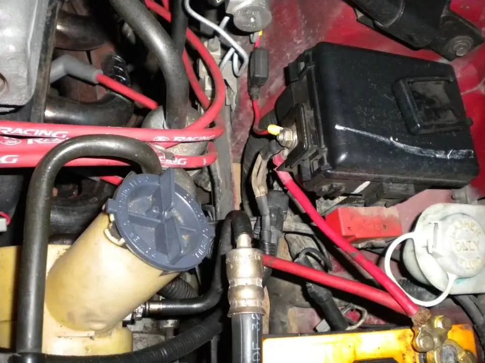 DSCN2067.webp