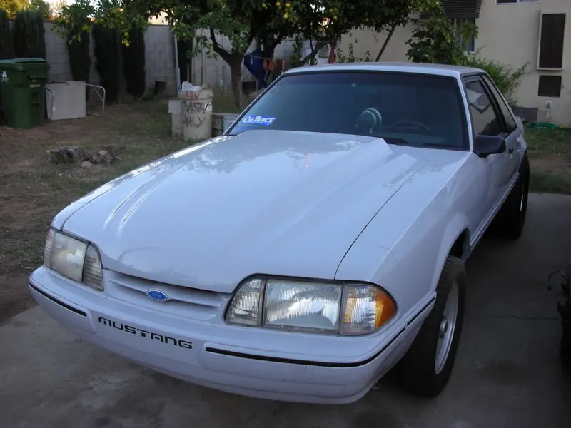 DSCN2156.webp