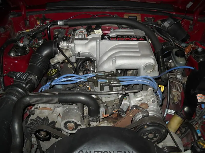 DSCN2181.webp