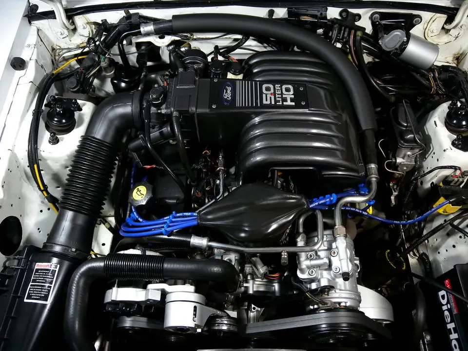 DSCN2248.webp