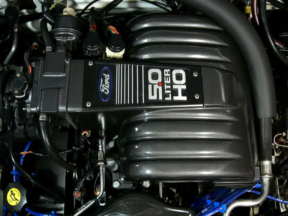 DSCN2257.webp