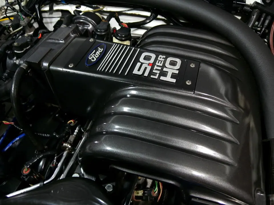 DSCN2258.webp