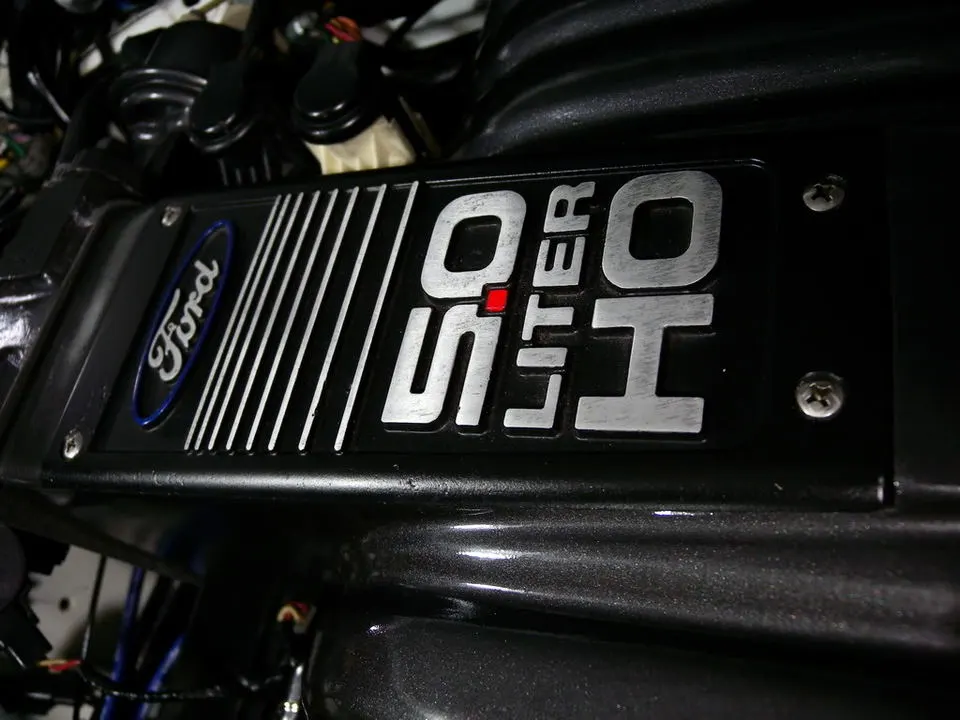 DSCN2260.webp