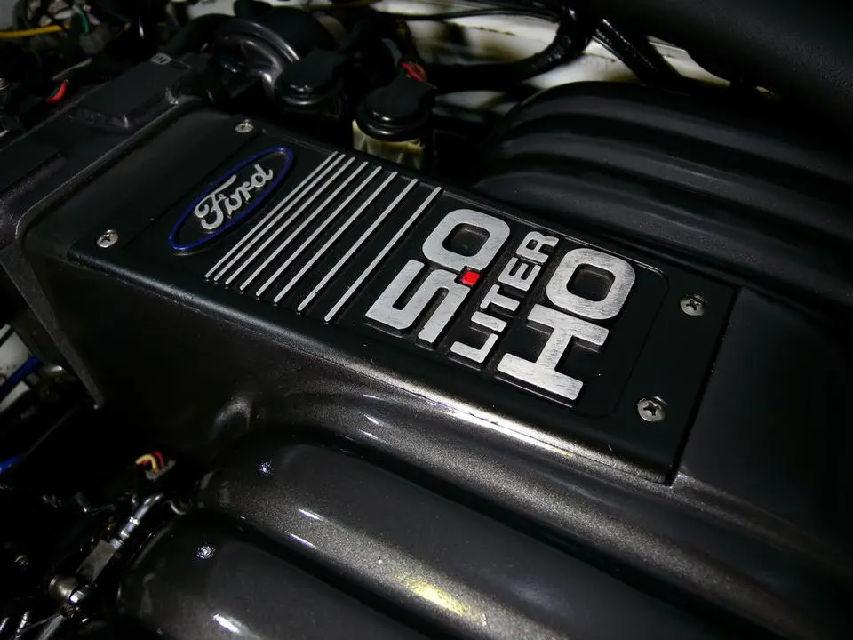DSCN2262.webp