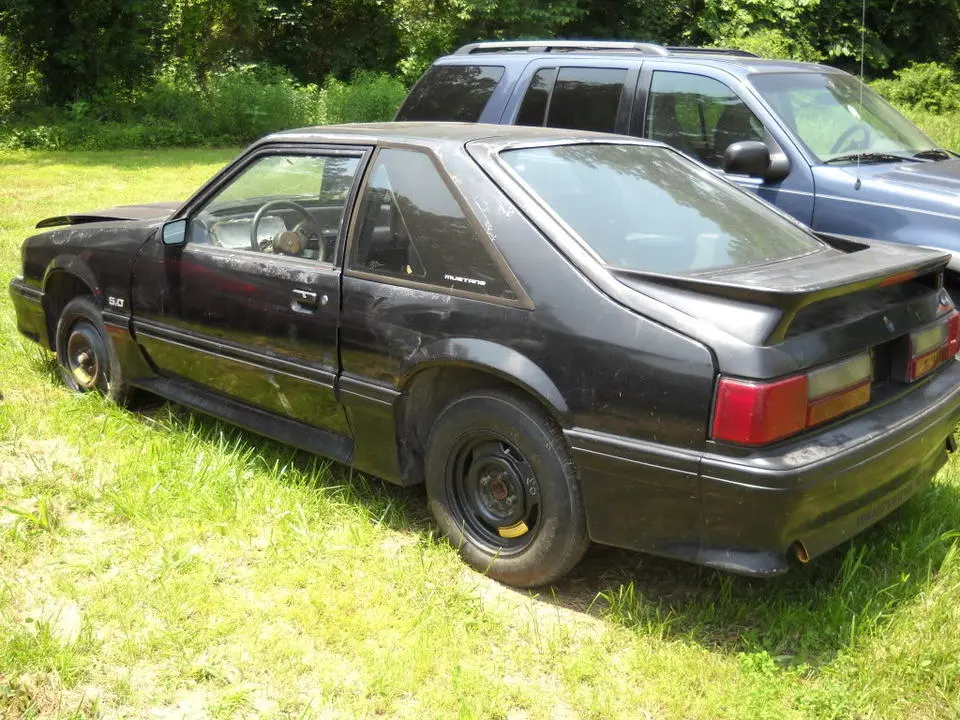 DSCN2311.webp