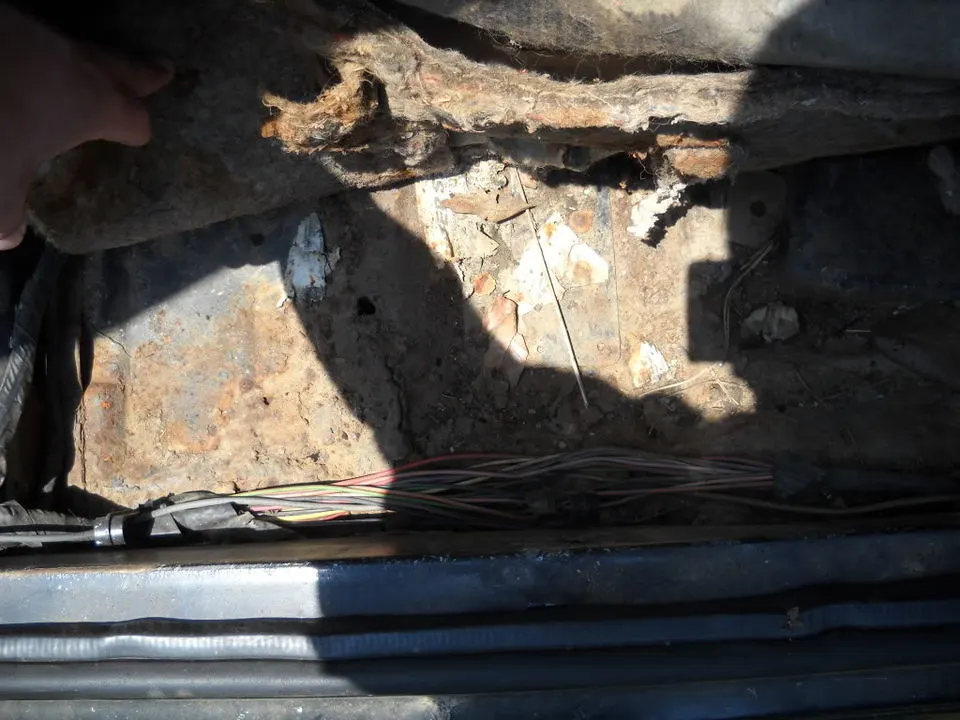 DSCN2316.webp