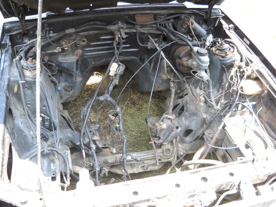 DSCN2320.webp