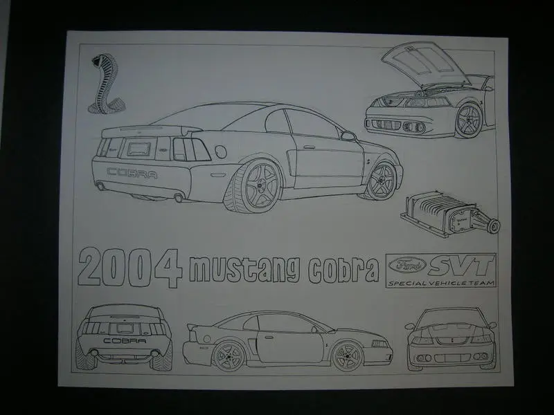 DSCN2329.webp