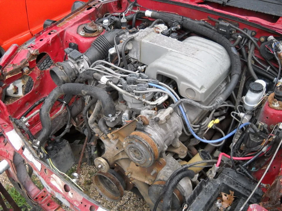 DSCN2359.webp