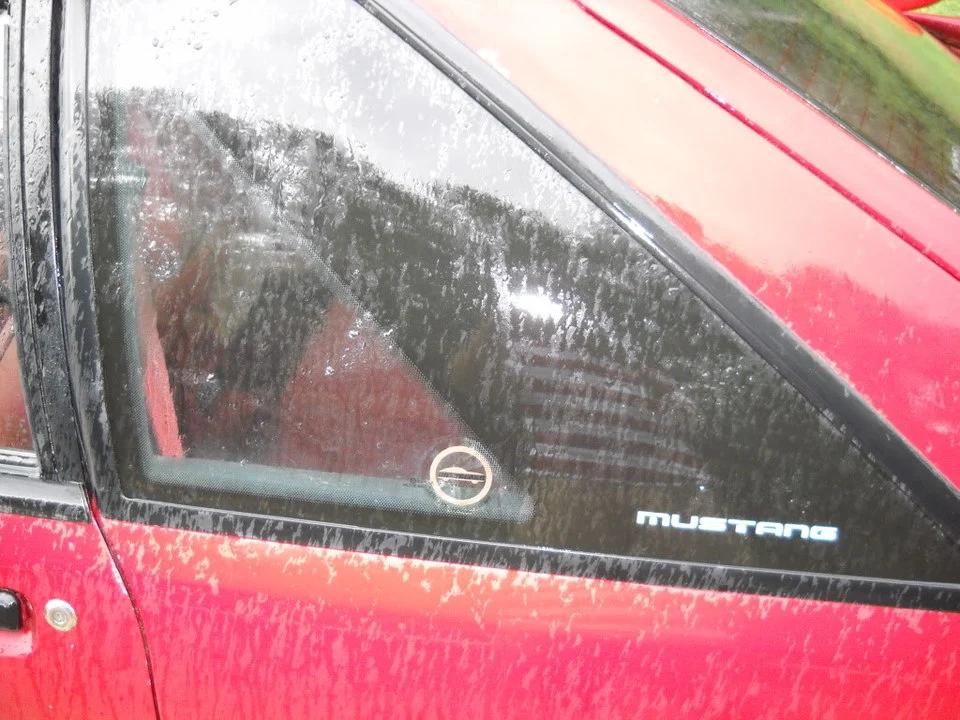 DSCN2361.webp
