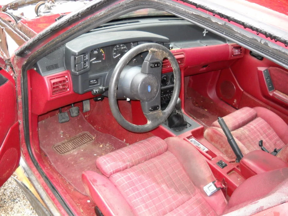 DSCN2362-1.webp