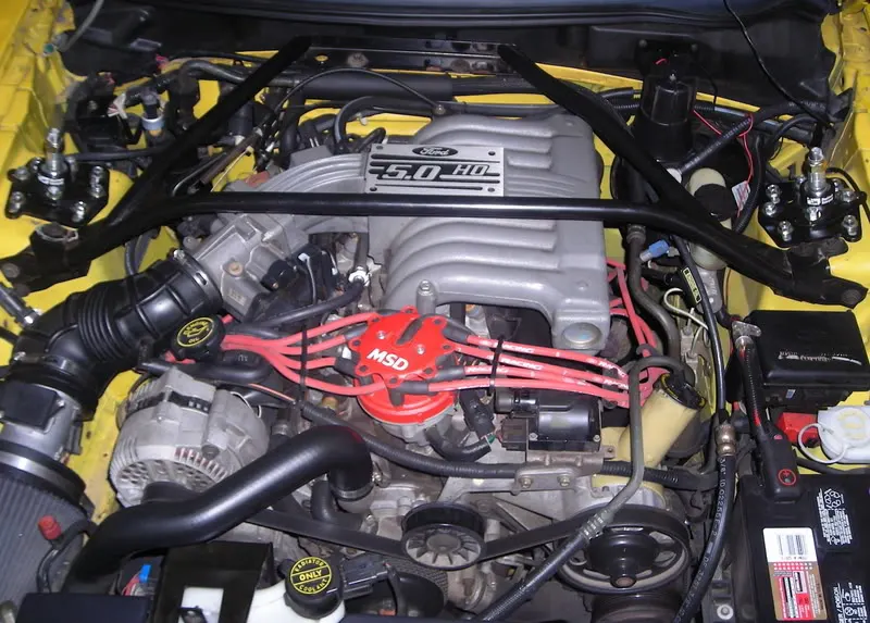 DSCN2375.webp