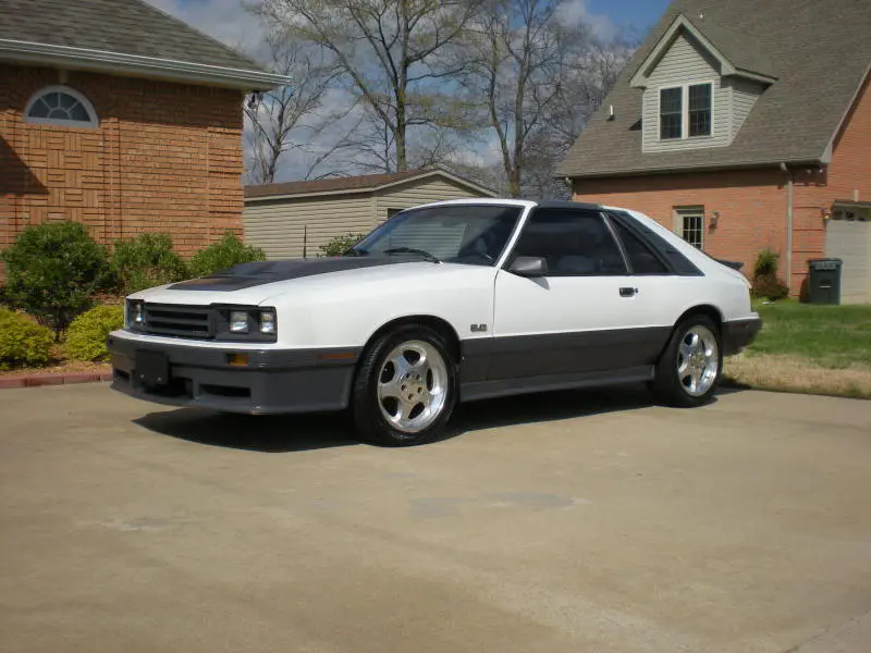 DSCN2390.webp