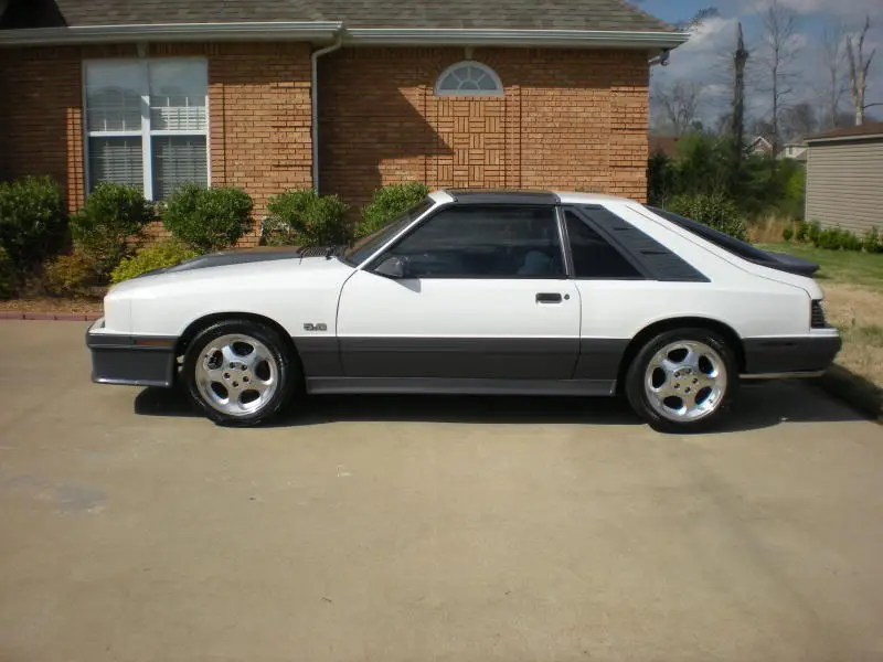 DSCN2391.webp