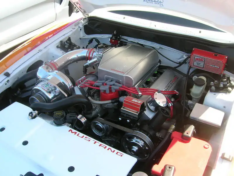 DSCN2573.webp