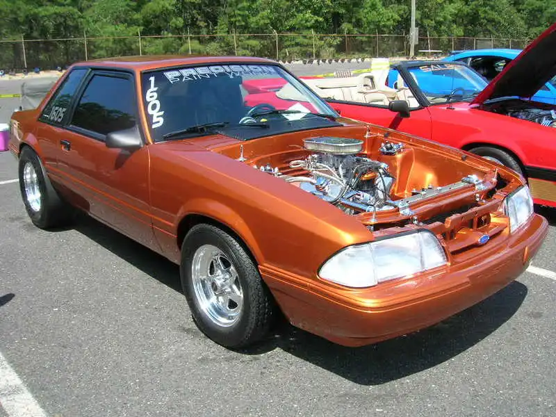 DSCN2598.webp