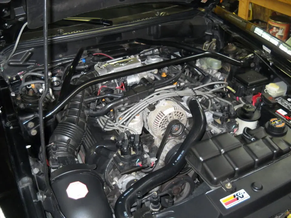 DSCN2646.webp