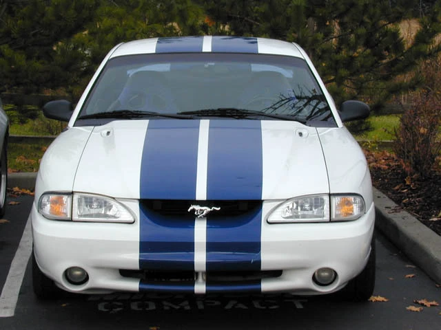 DSCN2651.webp
